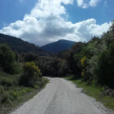 Art Kusadası